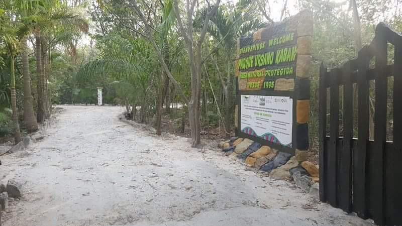 Room In Cancun Stadium المظهر الخارجي الصورة